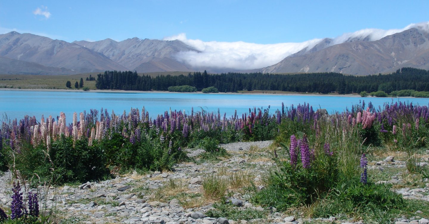 Our New Zealand Adventure